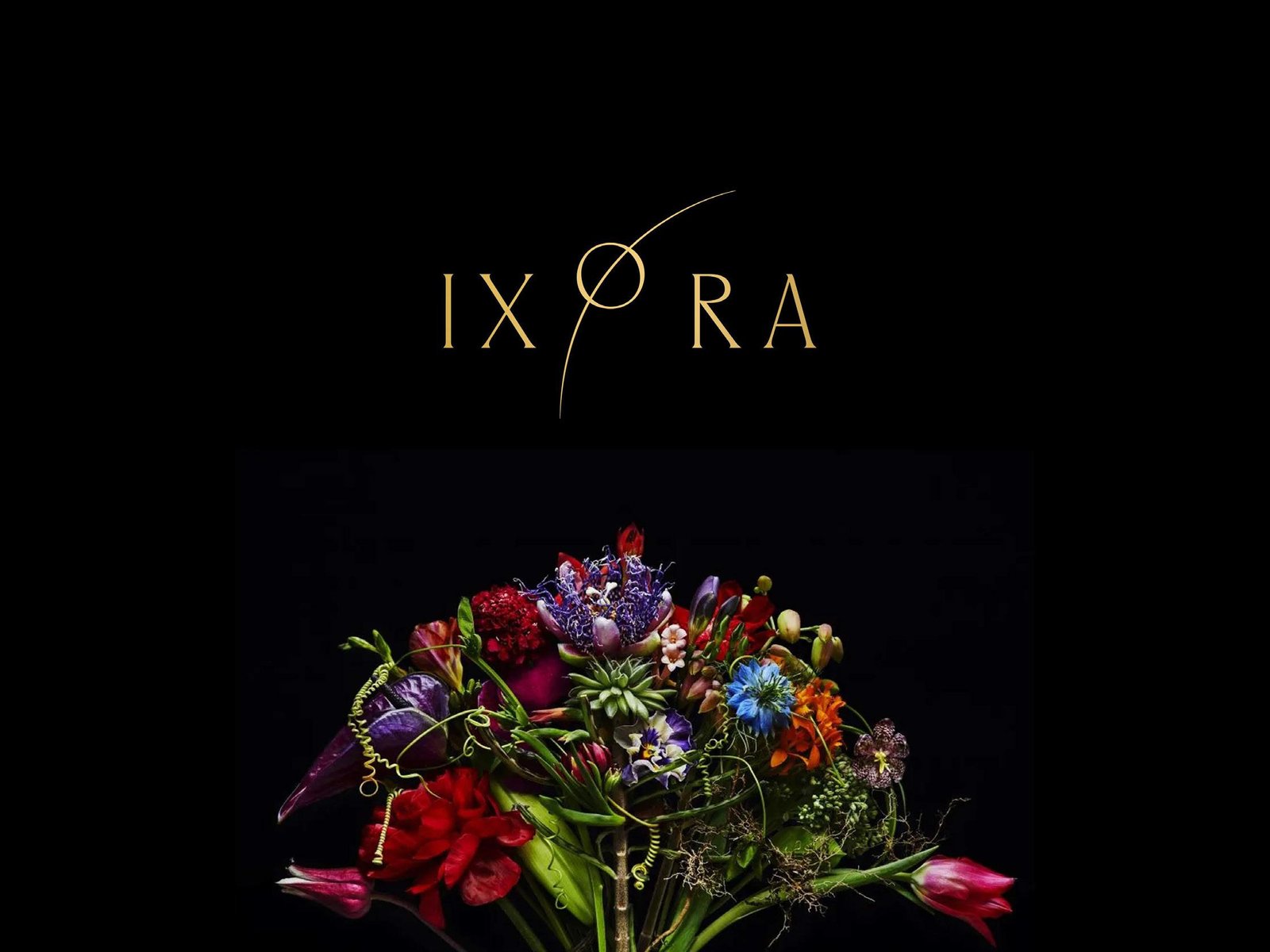 Product Packaging Design